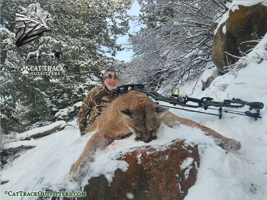 Mountain Lion Hunt with Cat Track Outfitters