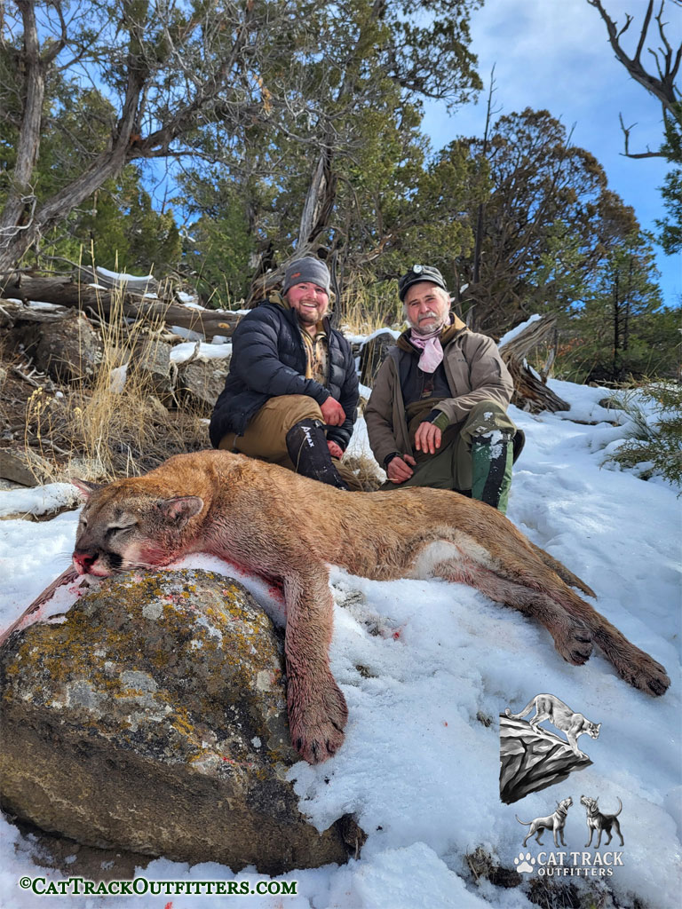 Mountain Lion Hunting in Colorado