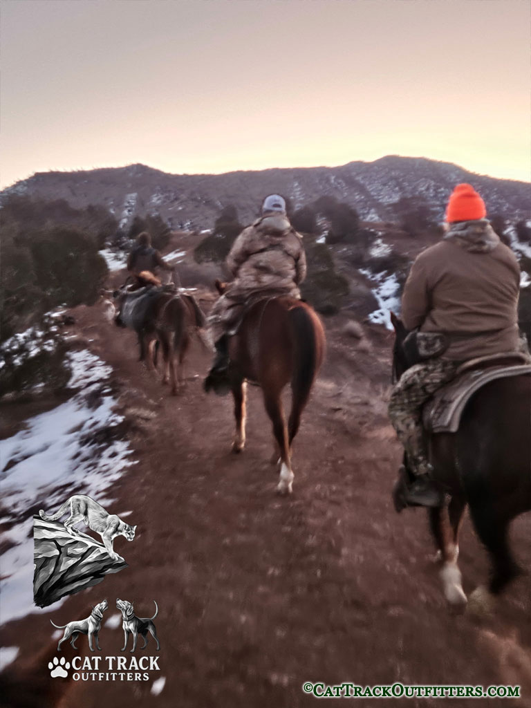 Colorado Mountain Lion Hunts with Cat Track Outfitters