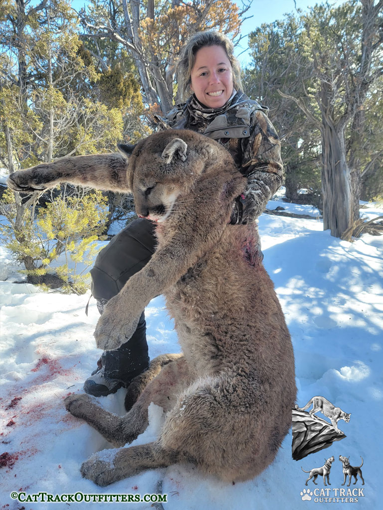 Successful Mountain Lion Hunt in Colorado